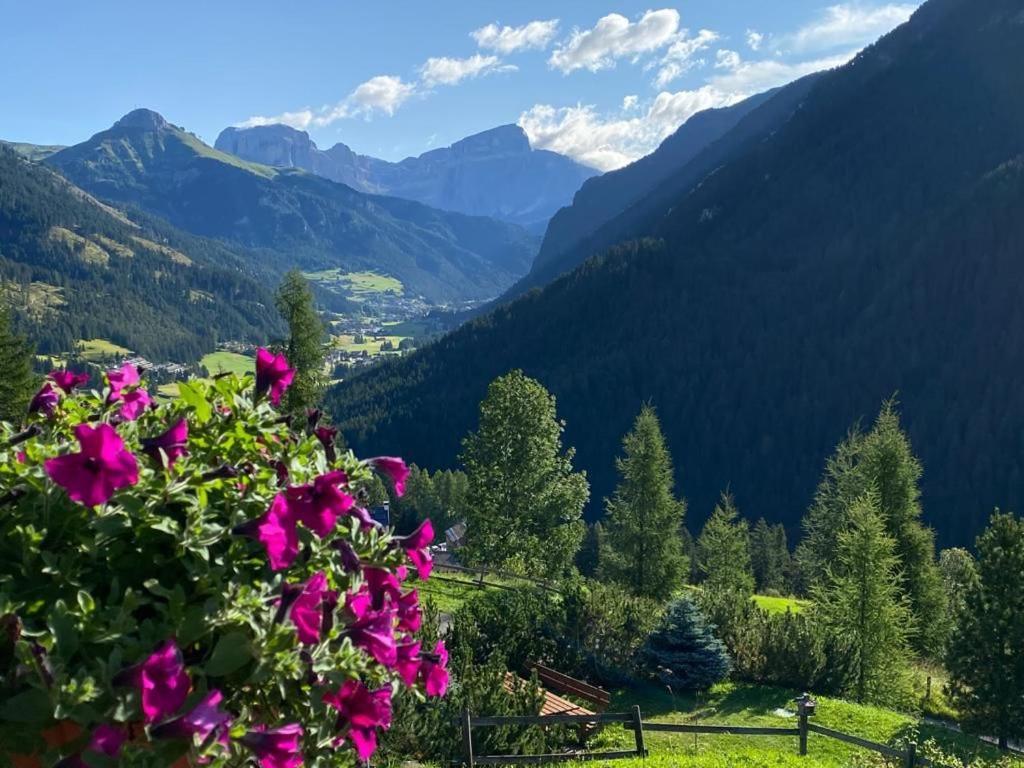 Chalet Relax بوتسا دي فاسّا المظهر الخارجي الصورة