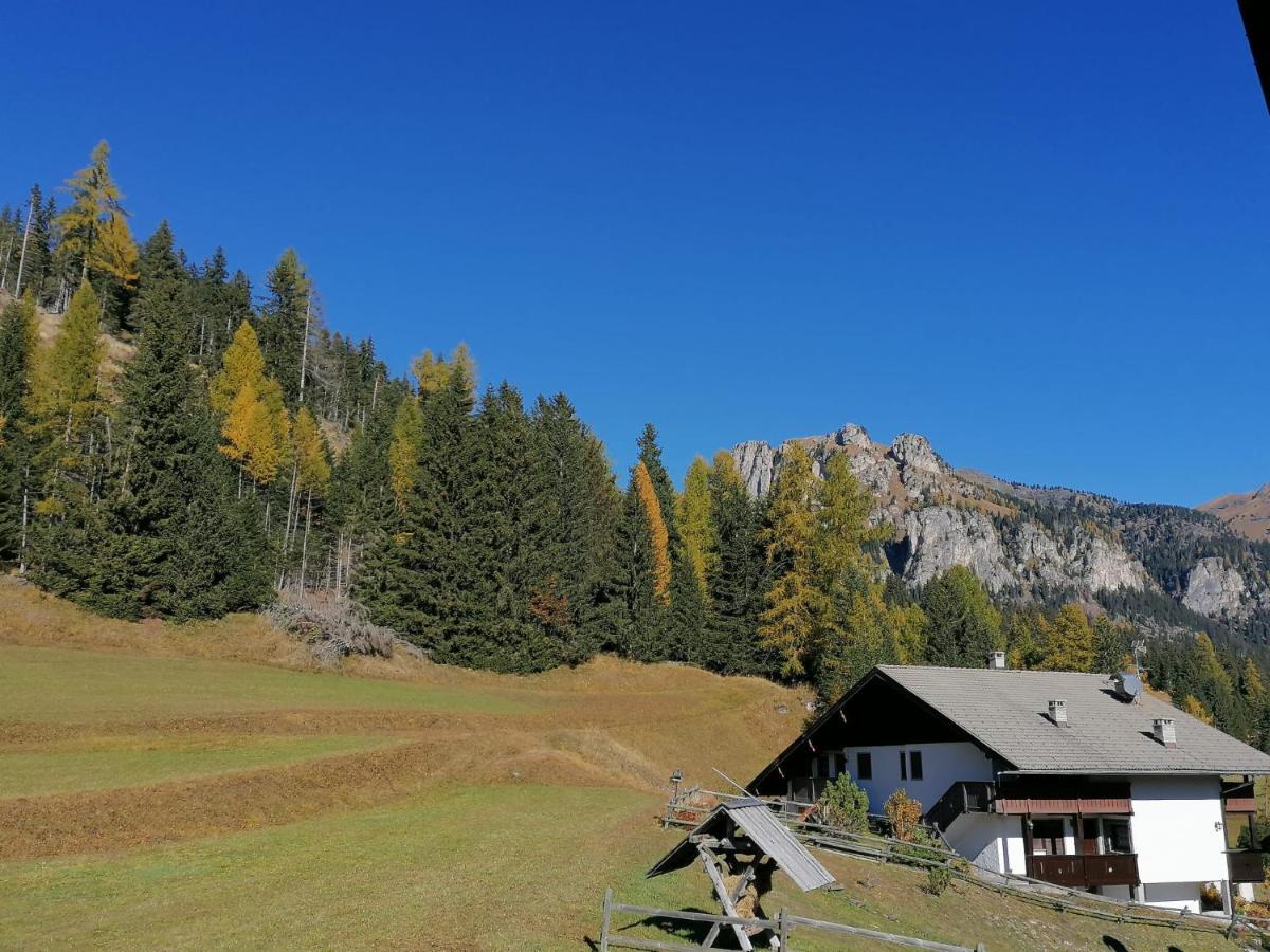Chalet Relax بوتسا دي فاسّا المظهر الخارجي الصورة
