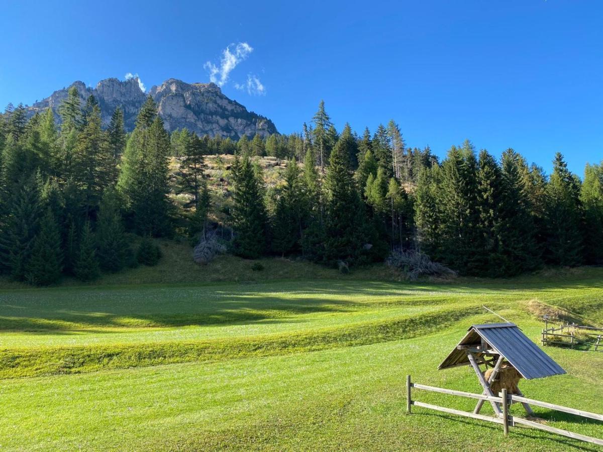 Chalet Relax بوتسا دي فاسّا المظهر الخارجي الصورة